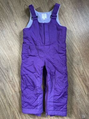The Children's Place Purple Snow Bib Overalls